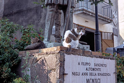 銅像とネコ