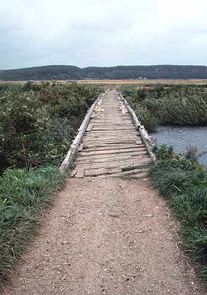 軌道跡の木橋